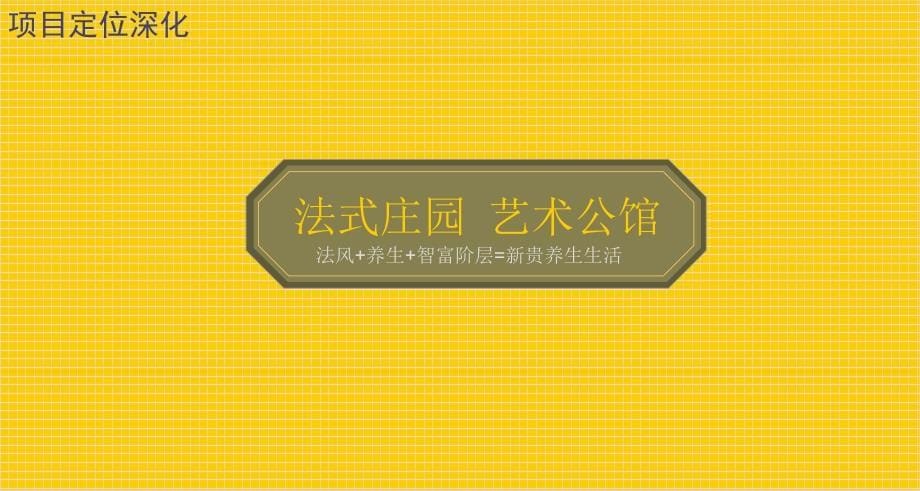 沈阳棋盘山项目市场营销定位初步报告 98页_第5页