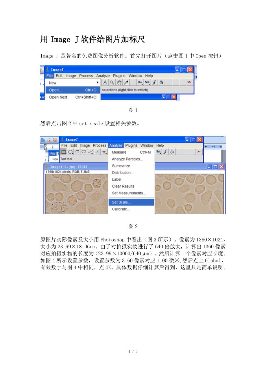 ImageJ软件给图片添加标尺参考模板_第1页