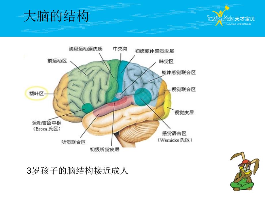 3-6岁发展说明会_第4页