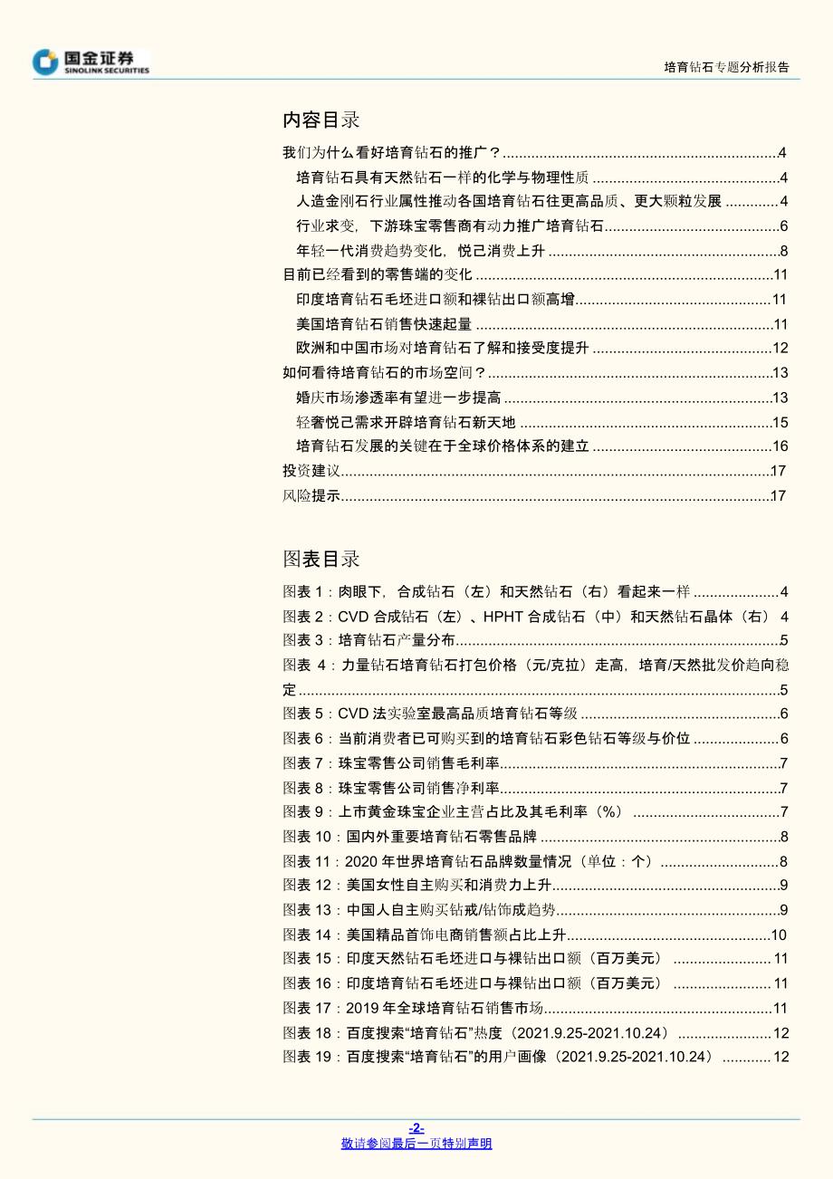 培育钻石行业报告：珠宝业的新征程_第1页