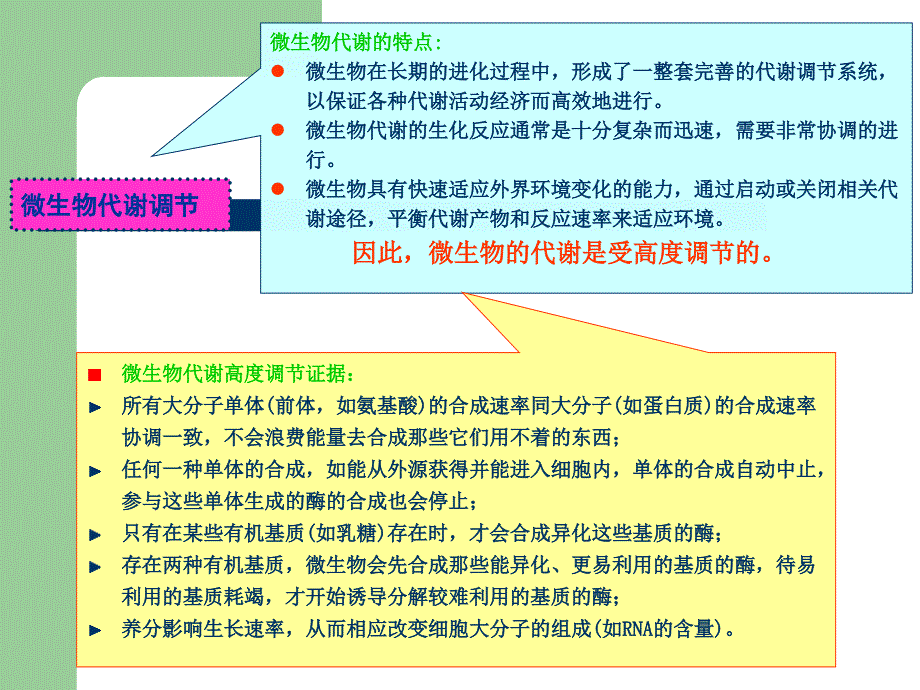 代谢调节与代谢工程优秀课件_第2页