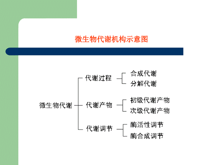 代谢调节与代谢工程优秀课件_第3页