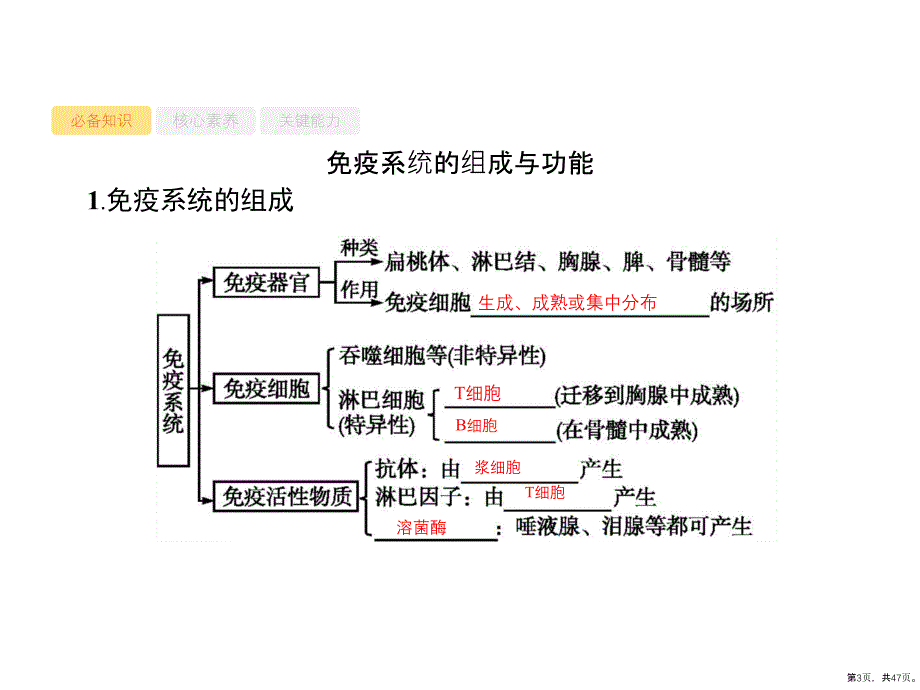 2021版高考人教版生物一轮复习课件：第28讲-免疫调节-(47页PPT)_第3页