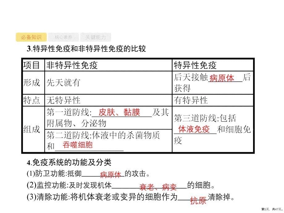 2021版高考人教版生物一轮复习课件：第28讲-免疫调节-(47页PPT)_第5页