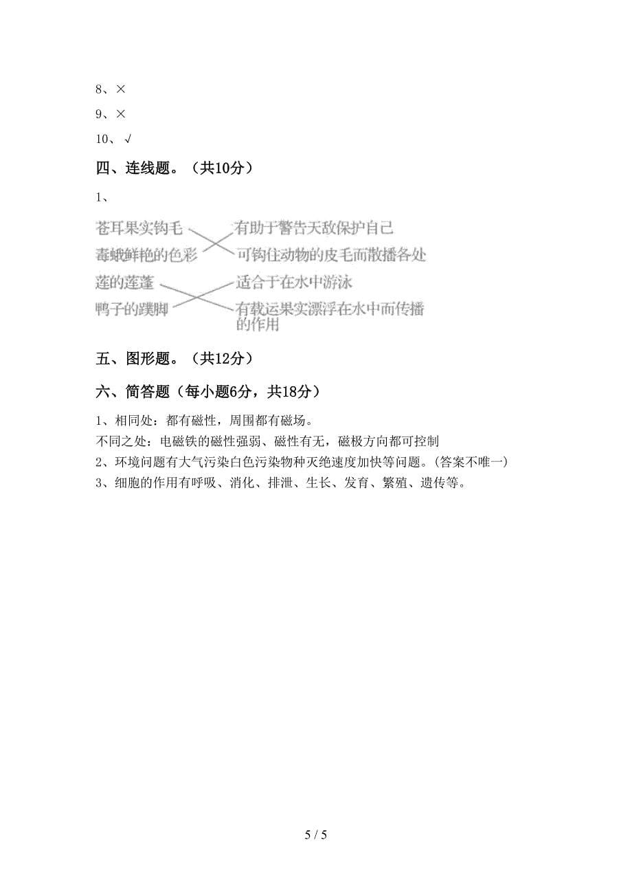 六年级科学上册期中考试(含答案).doc_第5页