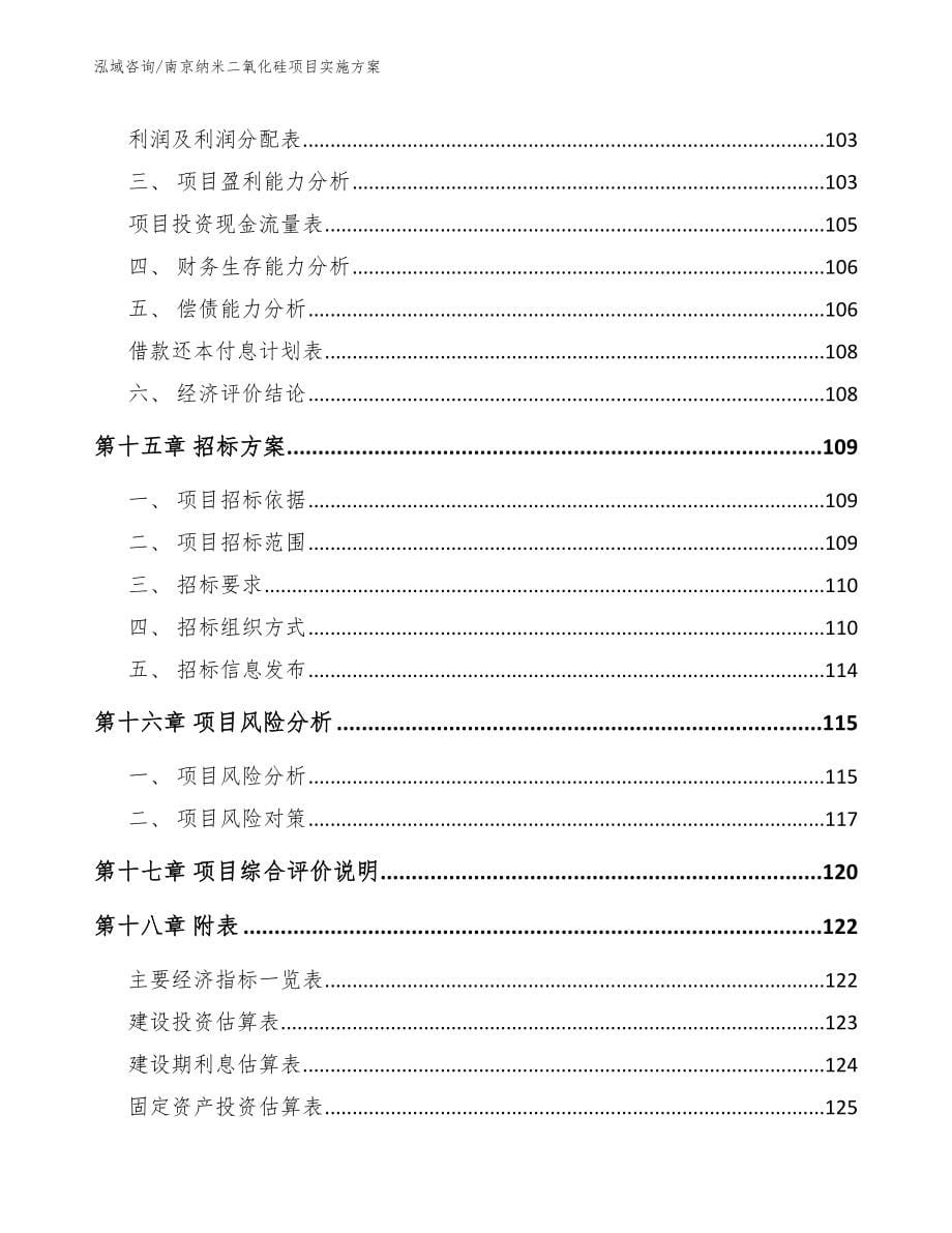 南京纳米二氧化硅项目实施方案_第5页