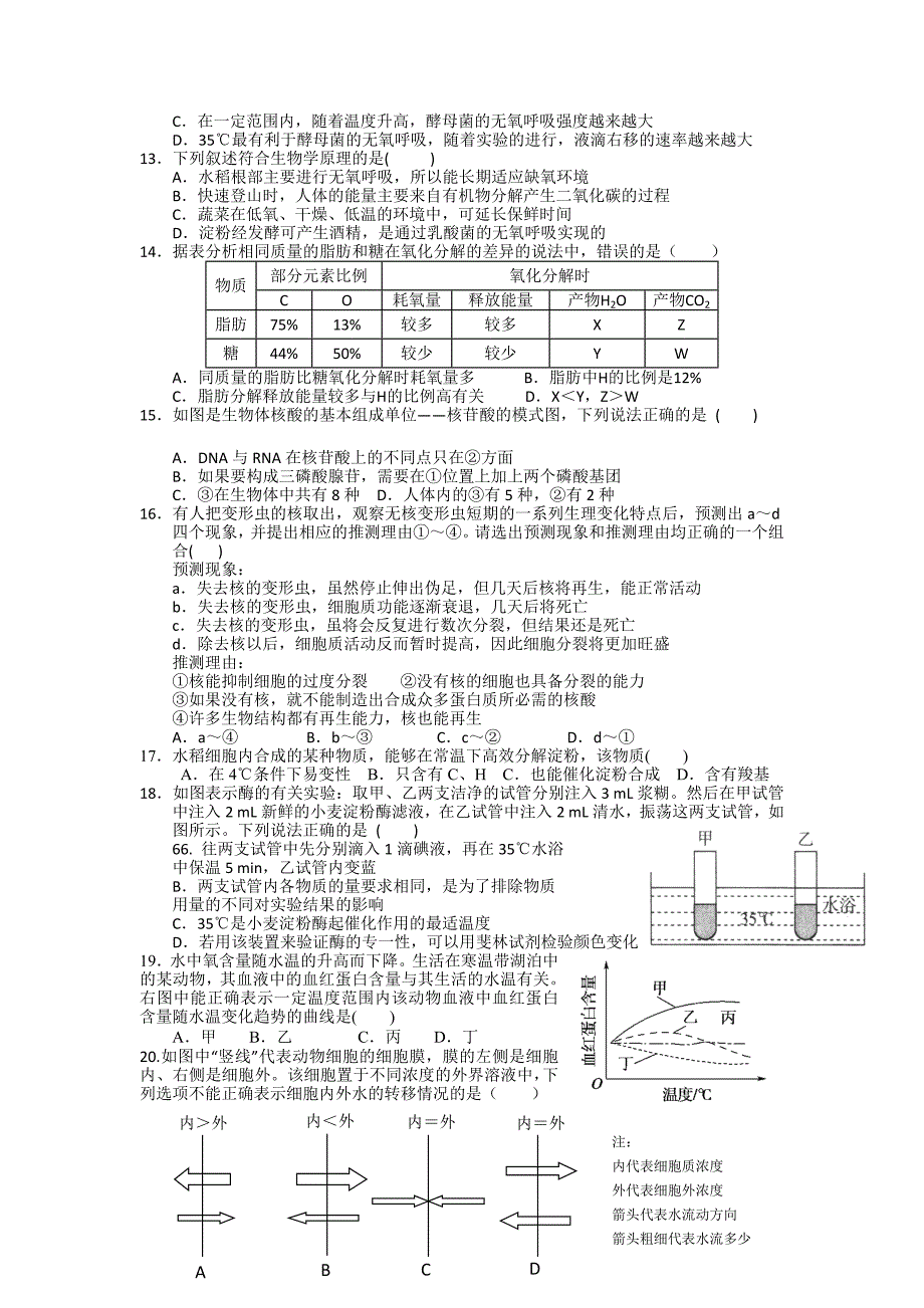 2022年高一下学期第12次周练生物试题（实验班）_第3页