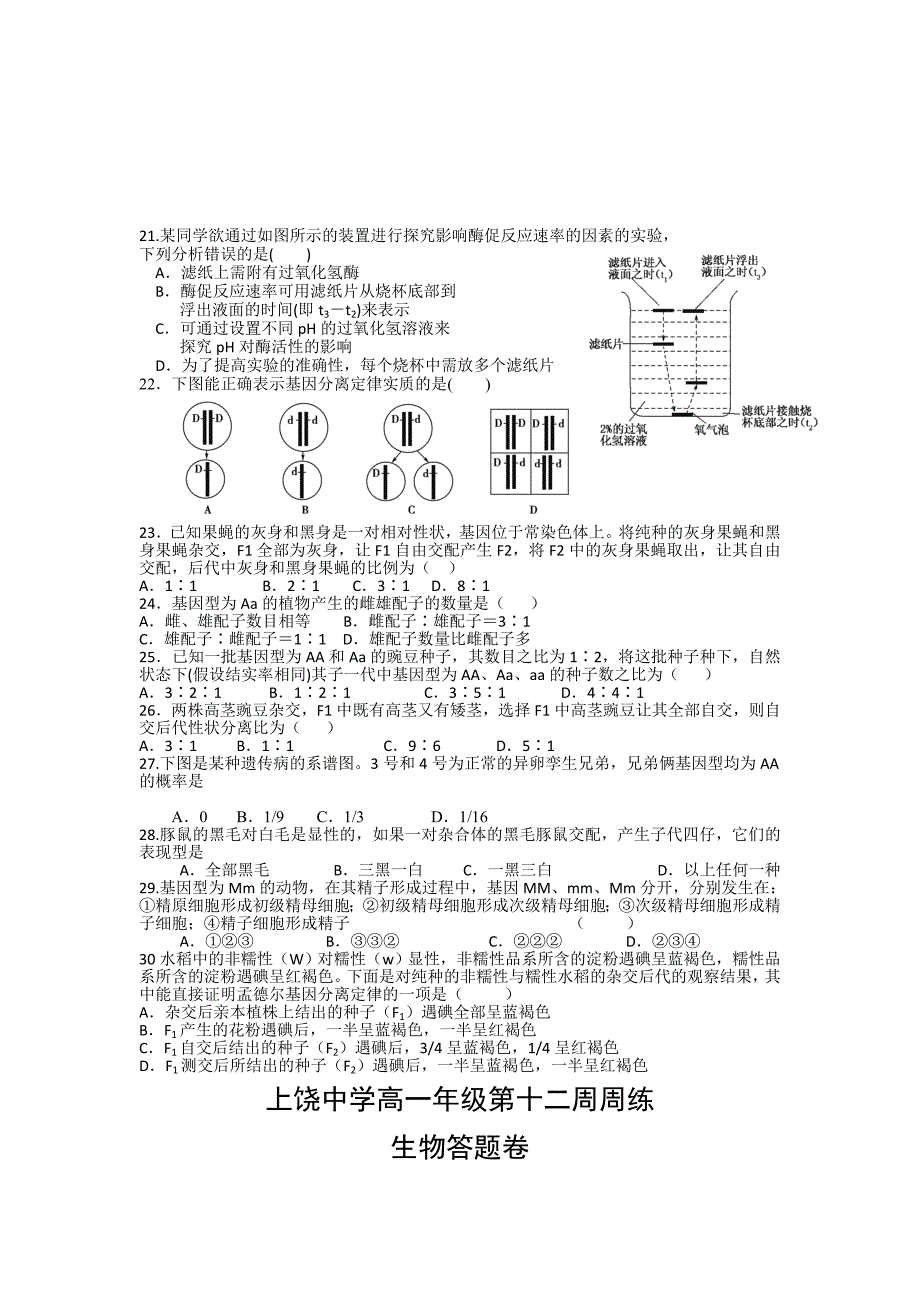 2022年高一下学期第12次周练生物试题（实验班）_第4页