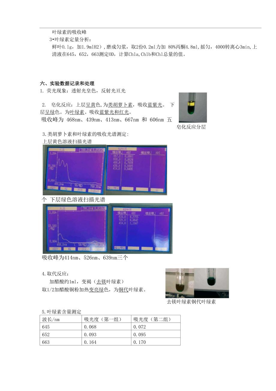 叶绿素的提取与含量测定_第3页