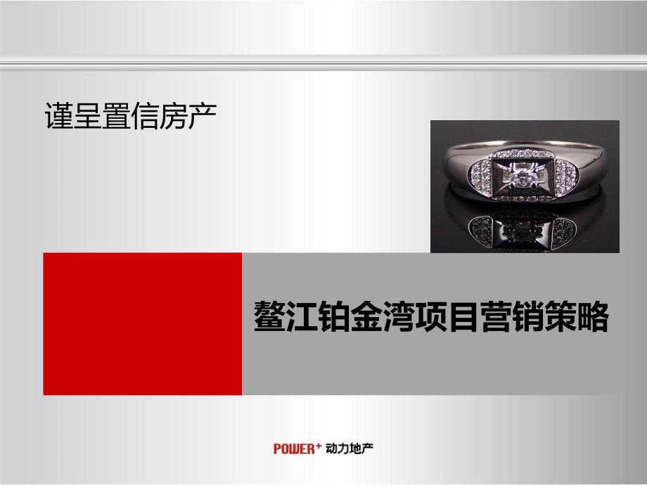 温州平阳鳌江铂金湾项目营销策略95p_第1页