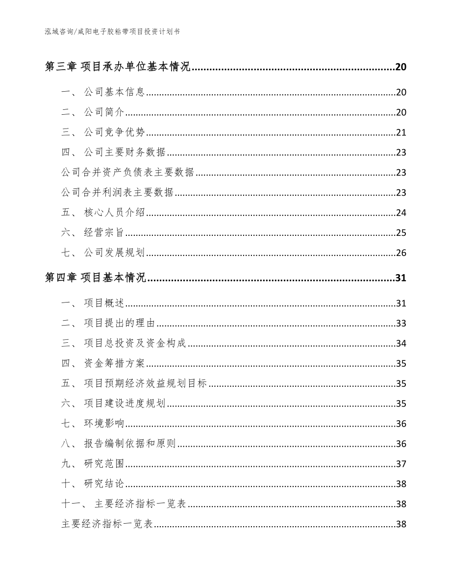 咸阳电子胶粘带项目投资计划书_第3页