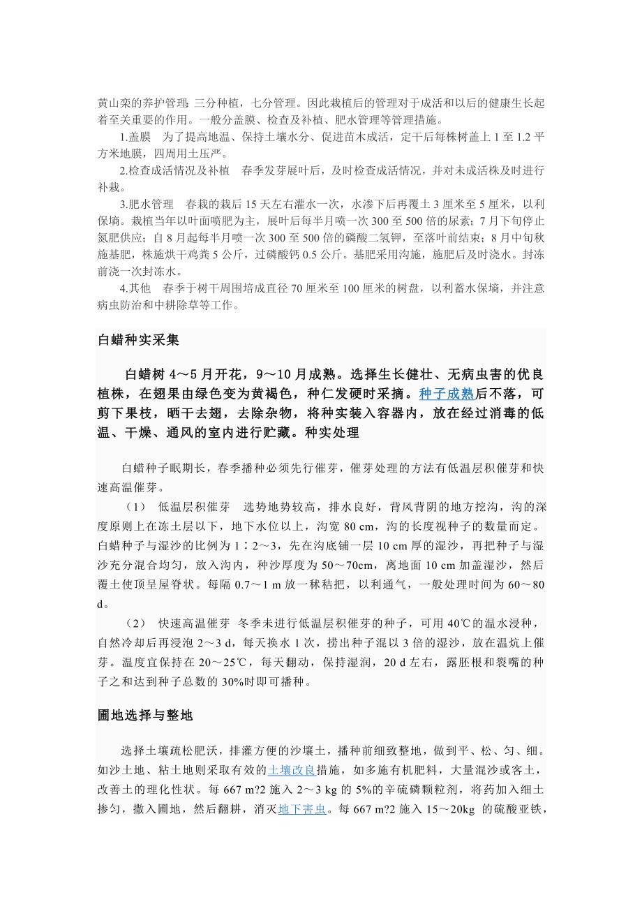 苗木的养护措施.doc_第4页