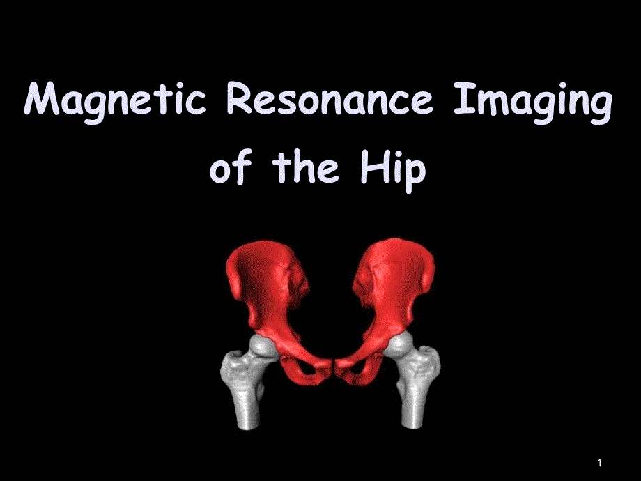 髋关节MagneticResonanceImagingoftheHip课件_第1页