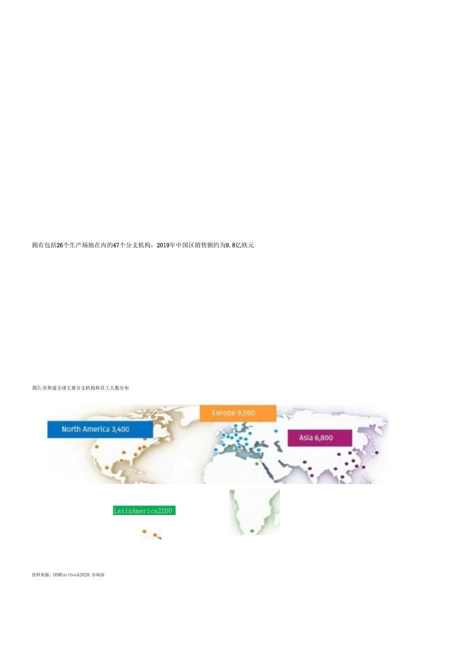 化工行业帝斯曼经营分析报告_第5页