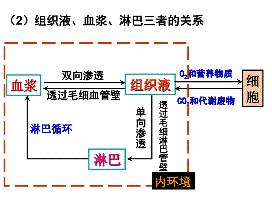 人体内环境与稳态(2016届高三生物一轮复习)_第4页