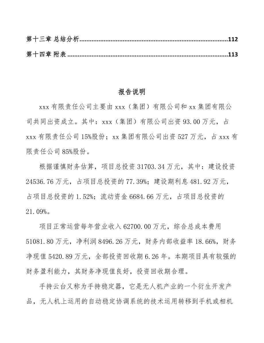 合肥关于成立工业芯片公司可行性报告_第5页