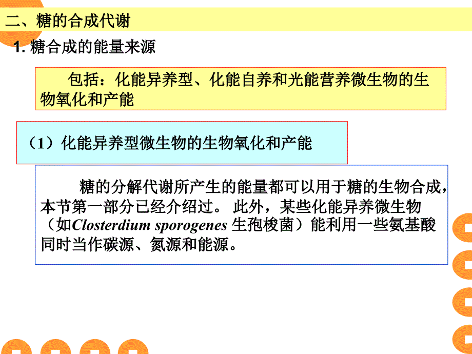 15微生物代谢2_第2页