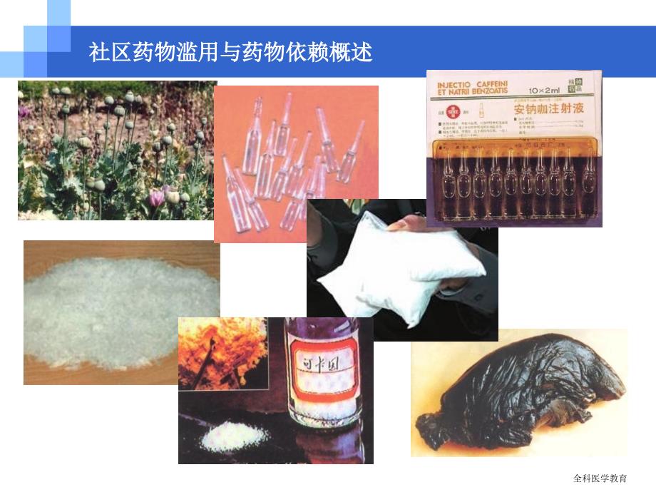 社区合理用药全科医学教育_第4页