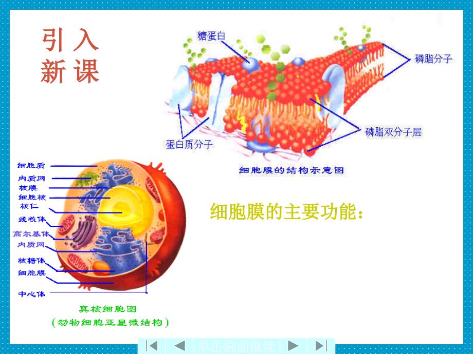 高考生物复习 细胞膜的结构和功能 ppt_第3页