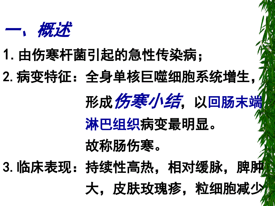 伤寒菌痢出血热阿米巴 ppt课件_第3页