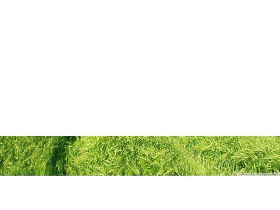 影响气压的因素_第1页