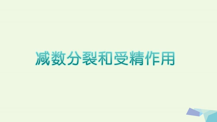 湖南省茶陵县高中生物第二章基因和染色体的关系2.1减数分裂和受精作用课件新人教版必修_第3页