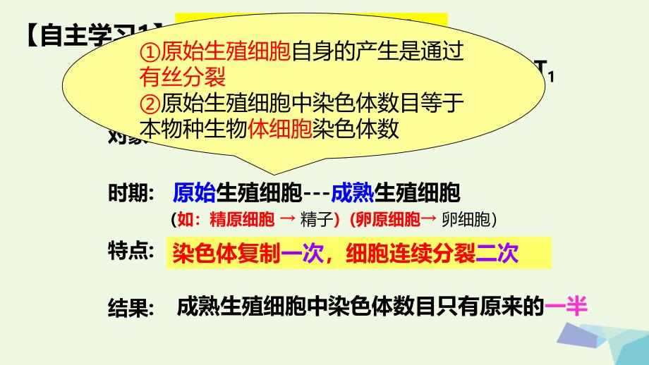 湖南省茶陵县高中生物第二章基因和染色体的关系2.1减数分裂和受精作用课件新人教版必修_第4页