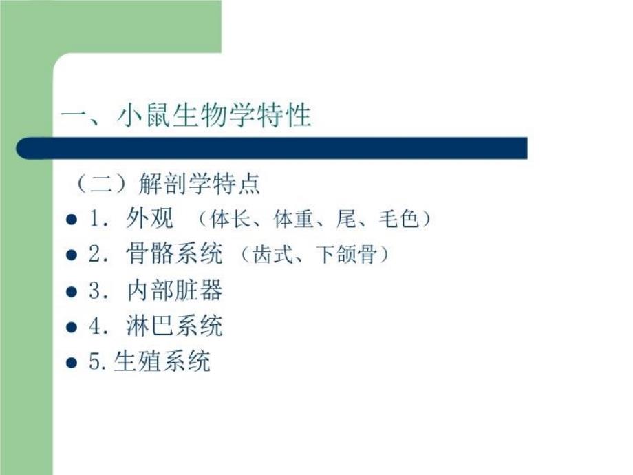 最新常用实验动物111ppt课件_第3页