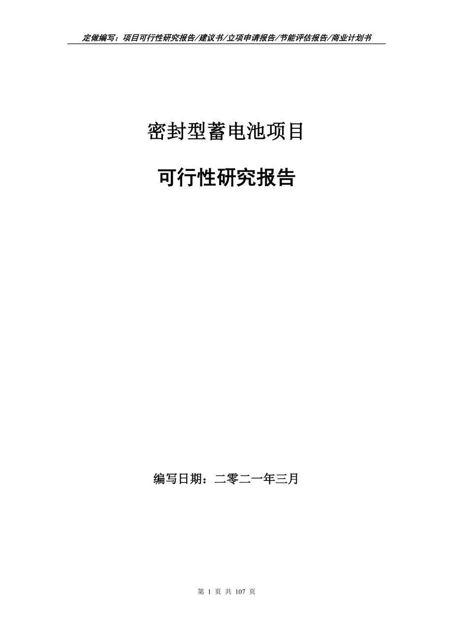 密封型蓄电池项目可行性研究报告写作范本_第1页