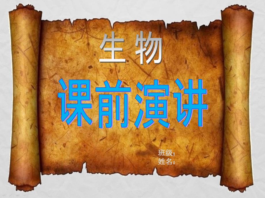 生物课前演讲(树袋熊)_第1页