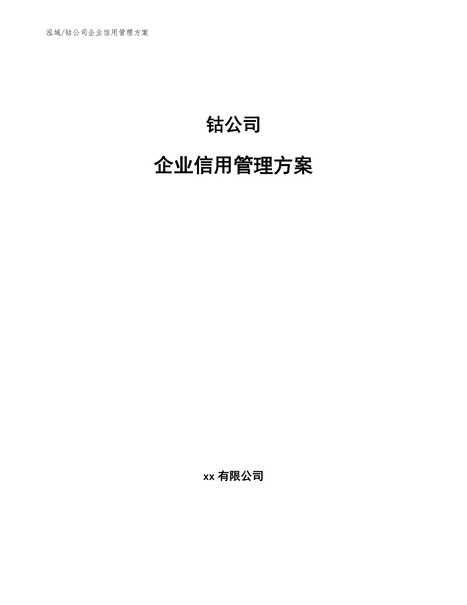 钴公司企业信用管理方案_第1页