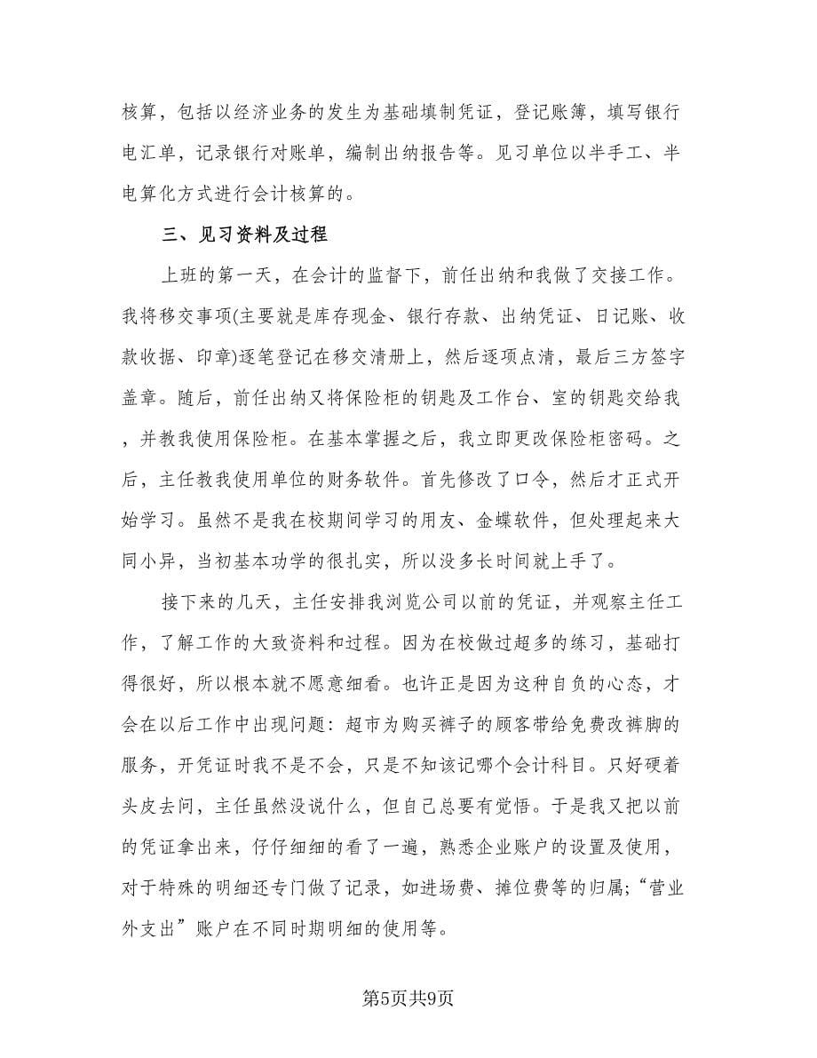 出纳的实习个人总结例文（2篇）.doc_第5页