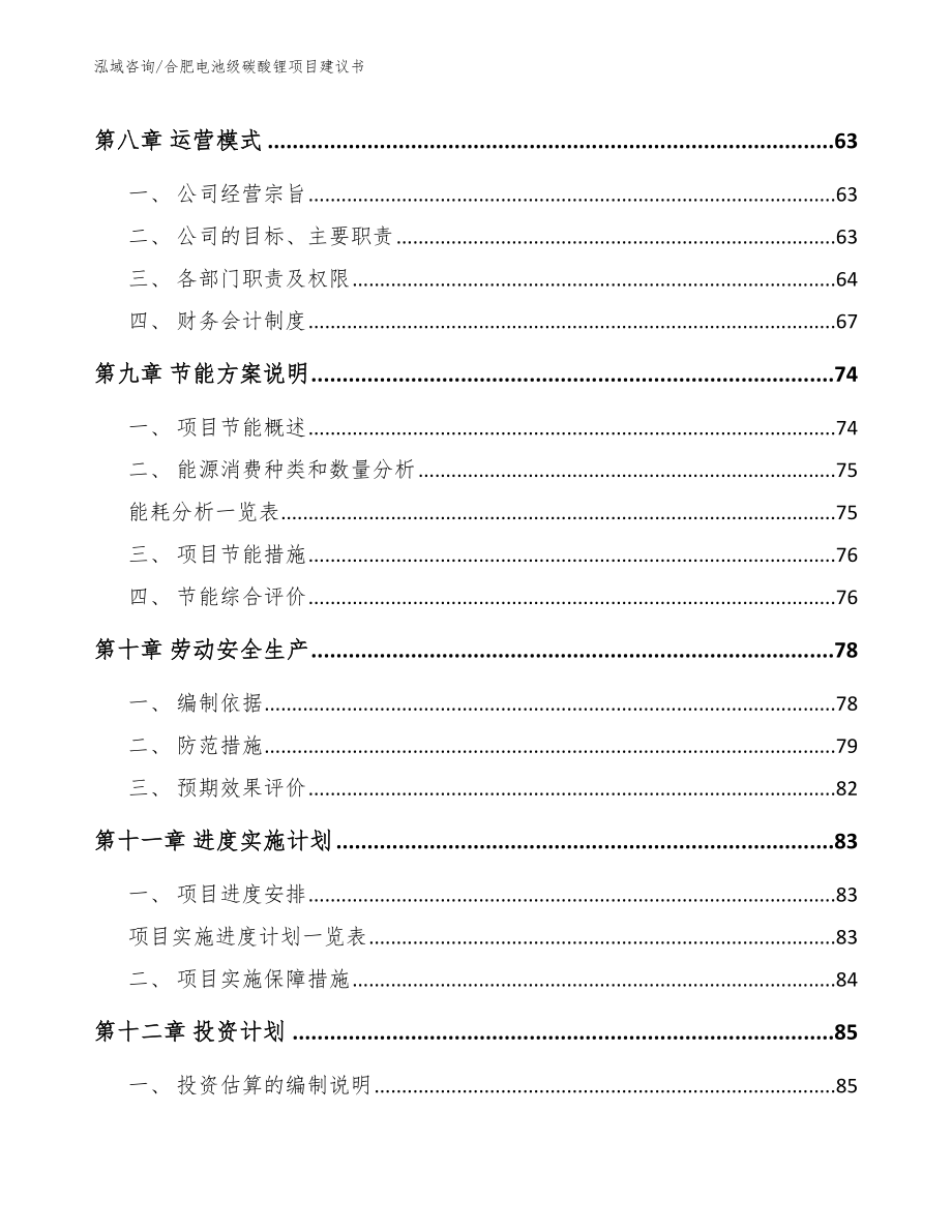 合肥电池级碳酸锂项目建议书【范文参考】_第3页