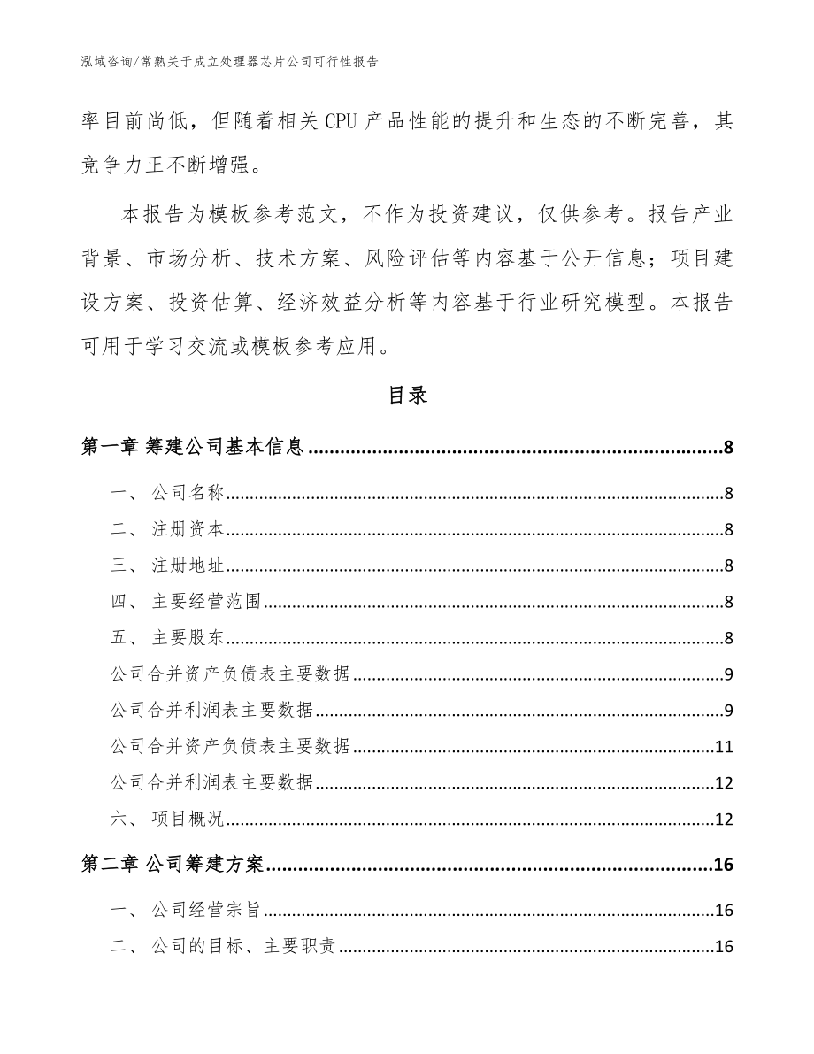 常熟关于成立处理器芯片公司可行性报告模板范文_第3页