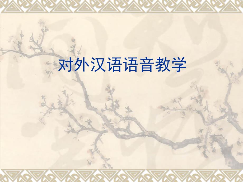 对外汉语教育学引论课件9_第1页