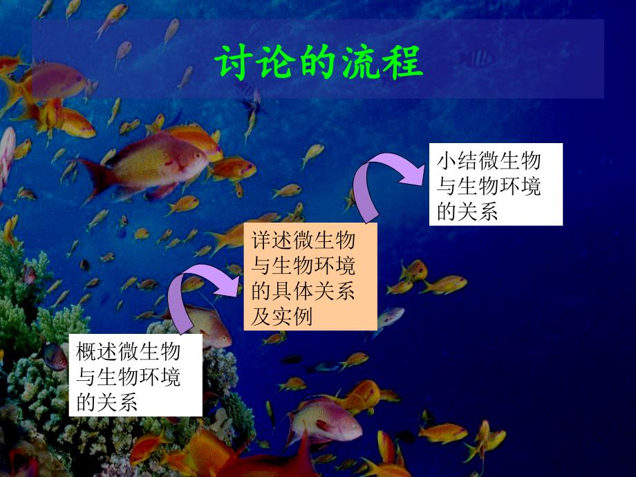 微生物与生物环境的关系_第2页