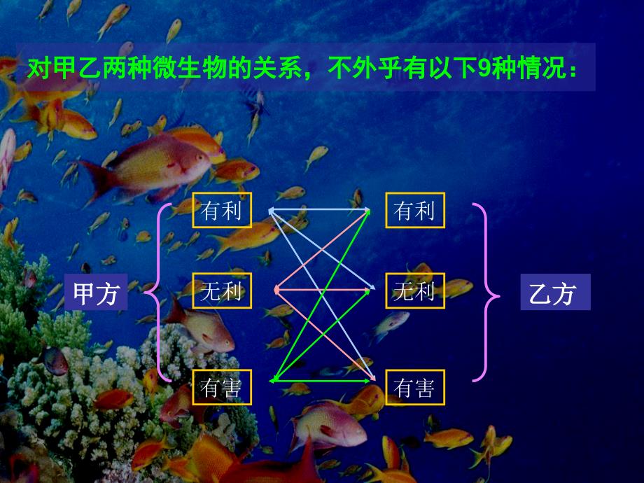 微生物与生物环境的关系_第4页