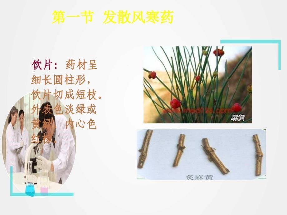 《中医解表药发散风寒药》ppt.ppt_第5页