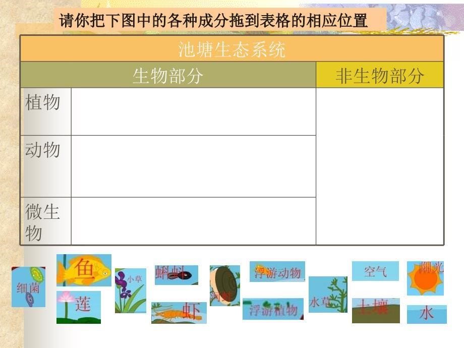 多种多样的生态系统_第5页