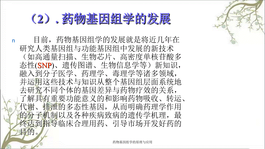 药物基因组学的原理与应用课件_第2页