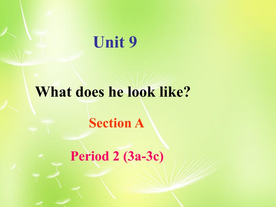 七年级英语 Unit 9 What does he look like Section A 2课件_第2页