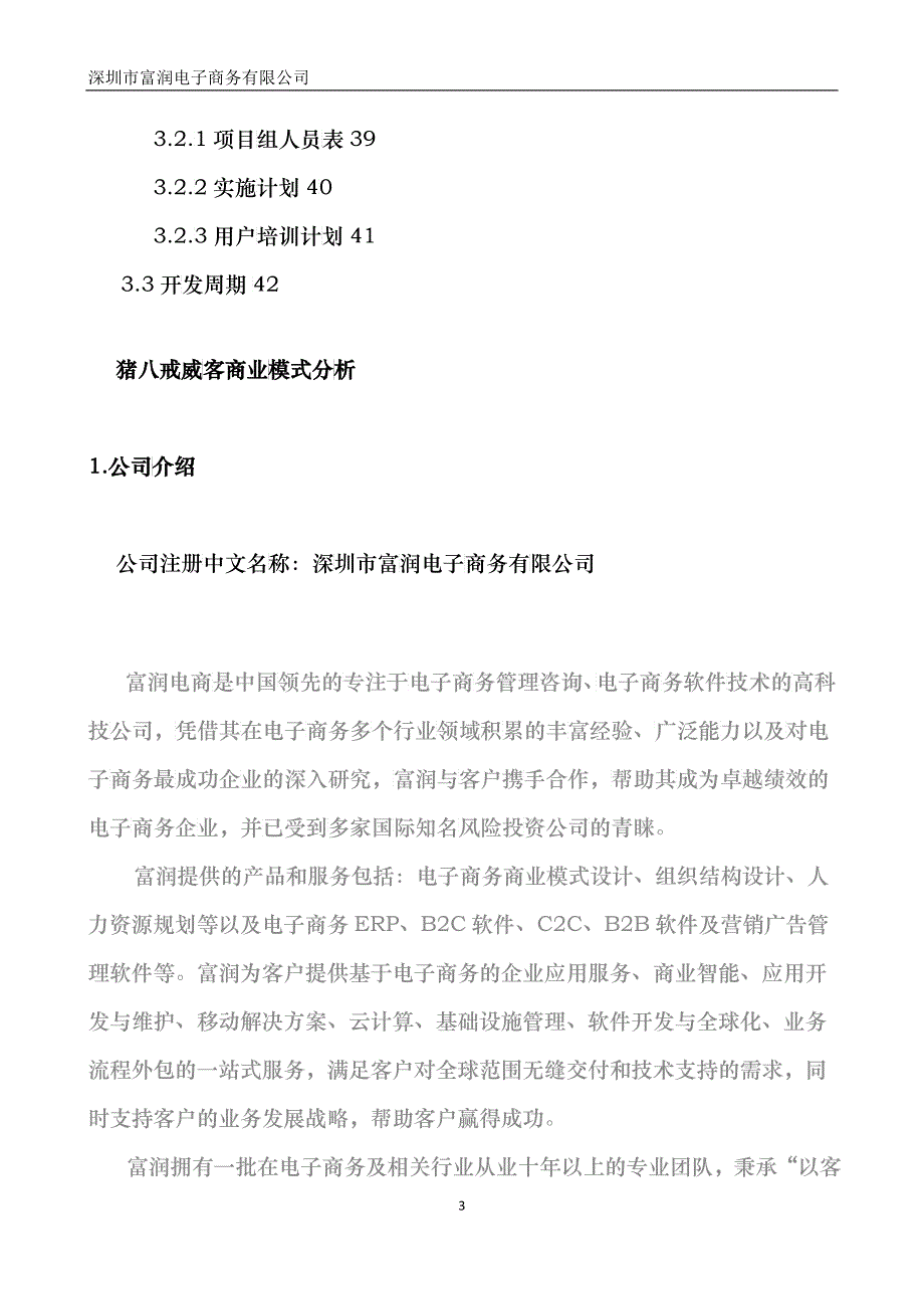 某电子商务网络营销商业模式分析_第3页