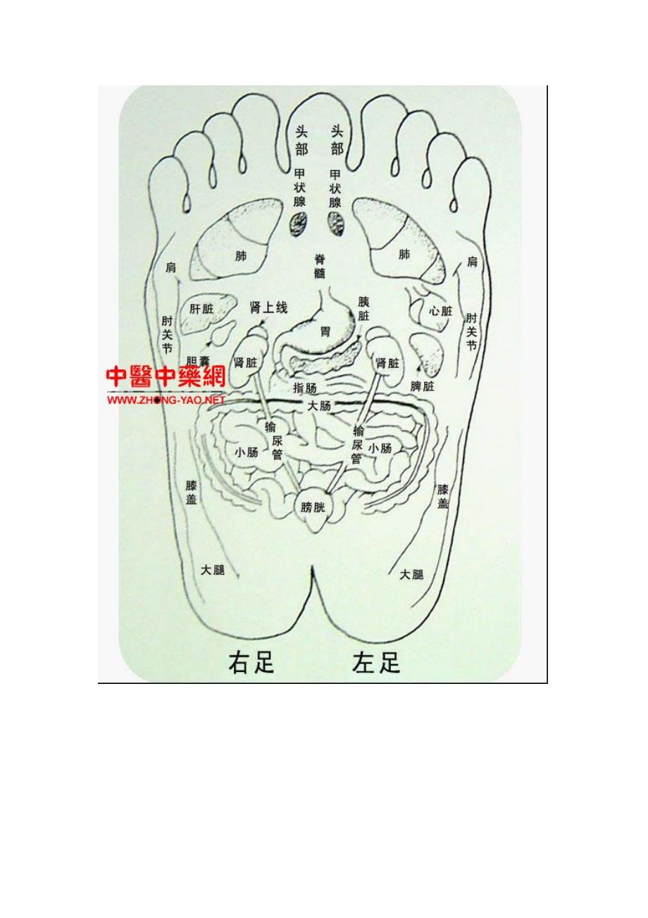 养生——脚底穴位图_第4页