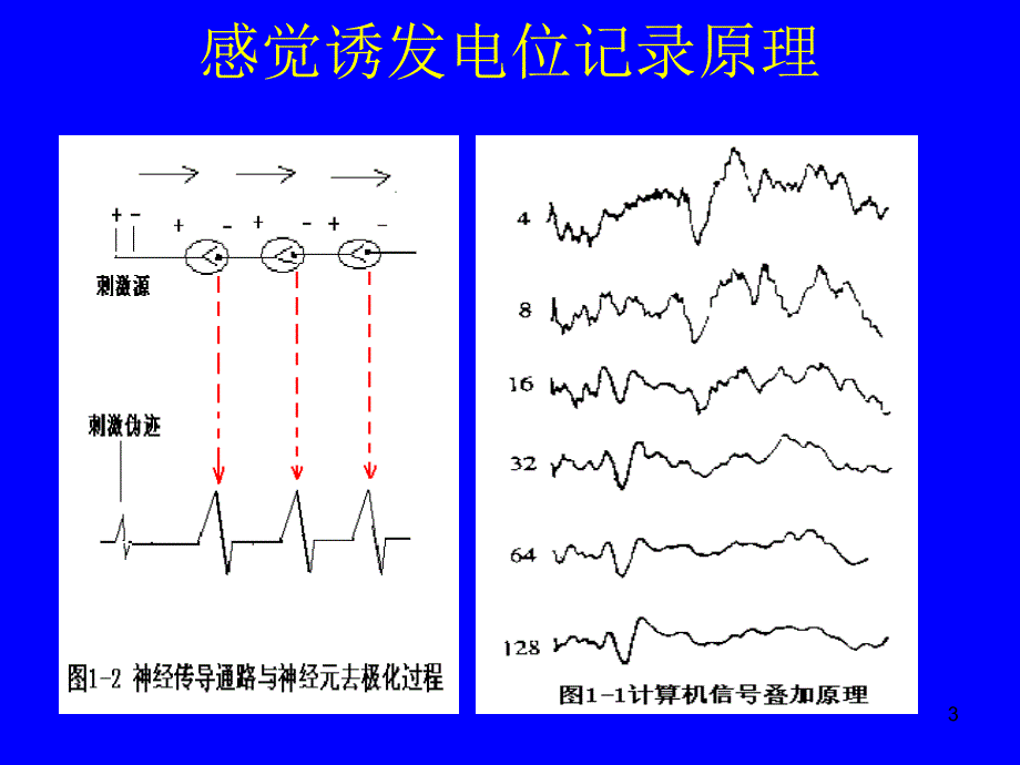 精神障碍事件相关电位检查_第3页