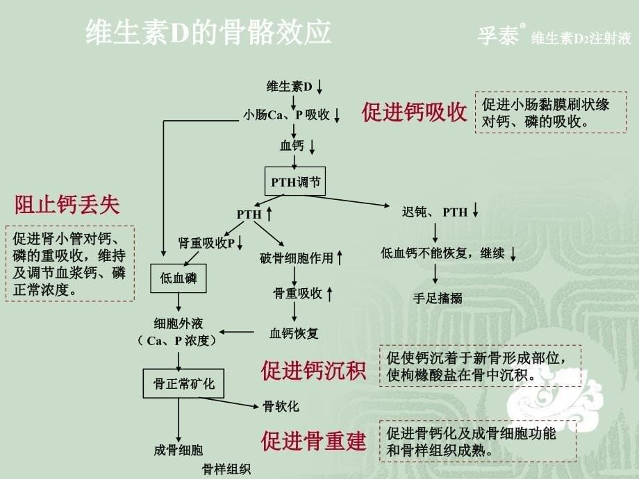 维生素D2注射液ppt参考课件_第5页