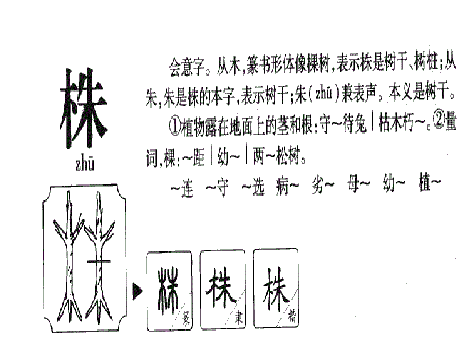 三年下二单元《春芽》_第2页