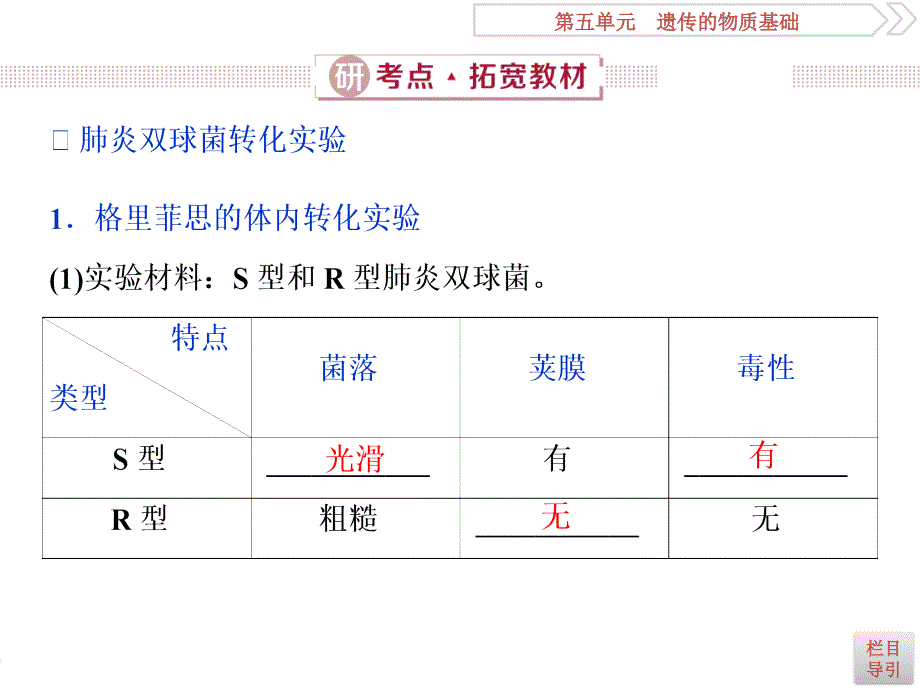 1 第15讲　DNA是主要的遗传物质_第4页