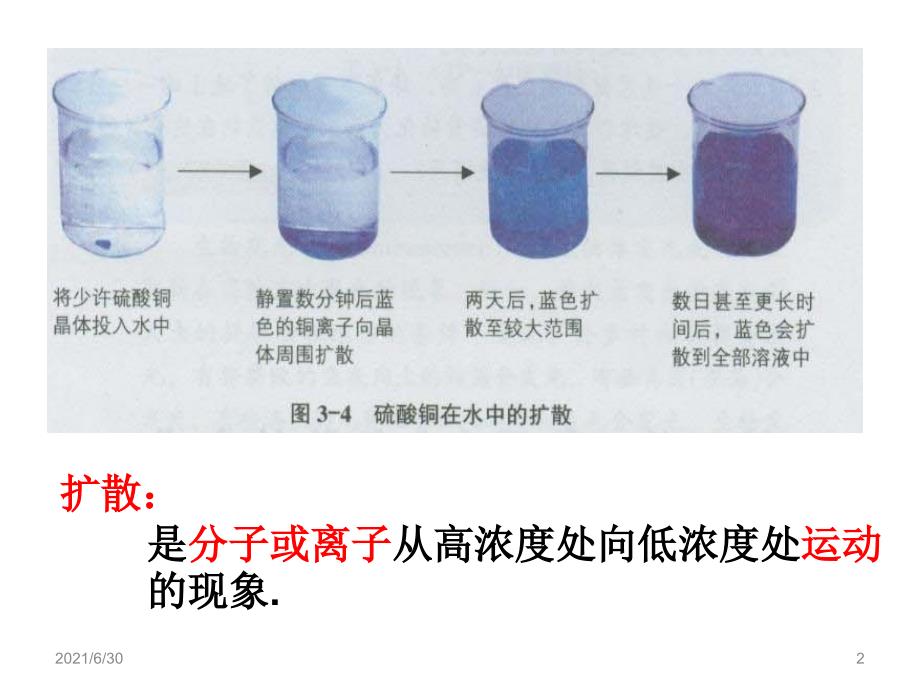 物质出入细胞的方式PPT课件_第2页