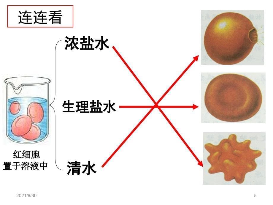 物质出入细胞的方式PPT课件_第5页