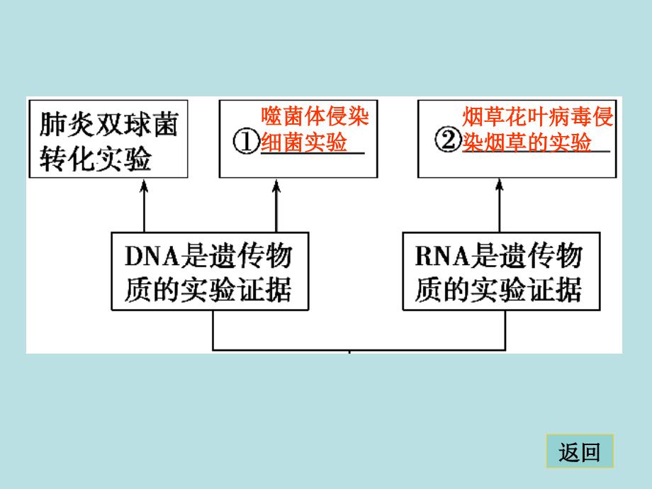 第一部分专题四学案7_第2页